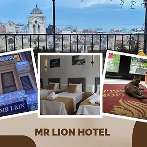 Mr Lion Kumkapi Istambul